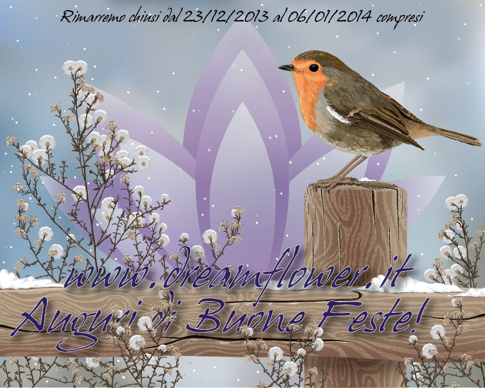 DFP_CN2013